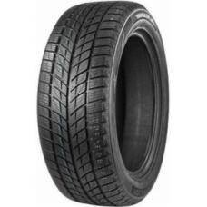 Double Star DW09 275/40R20 106V