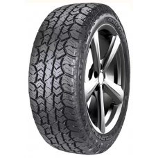 Double Star W01 265/65R17 120/117Q