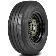 Delinte DV2+ 175/70R14 95/93S
